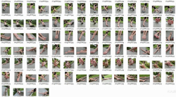 teen足模摄影系列大合集