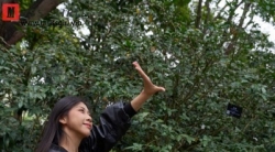 【裸足】高挑美丽的马拉西亚留学高财生泰妹在公园展示她的39码美足(1)【76P】