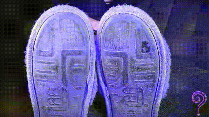 4.gif